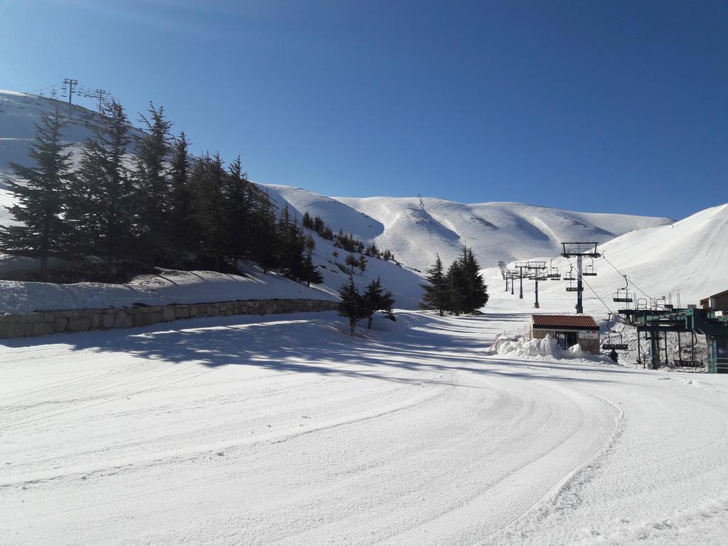 L'Escale Du Mzaar Apartment Faraya Luaran gambar